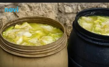 Zašto se glavice kupusa ne kisele nakon što ih stavite u bure? Ovo je razlog Zašto se glavice kupusa ne kisele nakon što ih stavite u bure? Ovo je razlog