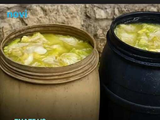 Zašto se glavice kupusa ne kisele nakon što ih stavite u bure? Ovo je razlog Zašto se glavice kupusa ne kisele nakon što ih stavite u bure? Ovo je razlog