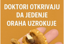 Zdravstvene prednosti oraha: Superhrana za srce, mozak i cjelokupno blagostanje Zdravstvene prednosti oraha: Superhrana za srce, mozak i cjelokupno blagostanje