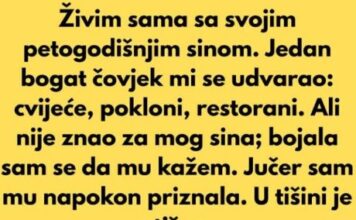 Živim sama sa svojim petogodišnjim sinom. Jedan bogat čovjek mi se udvarao: Živim sama sa svojim petogodišnjim sinom. Jedan bogat čovjek mi se udvarao:
