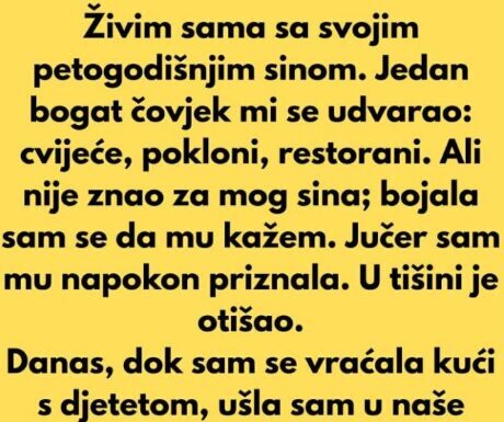 Živim sama sa svojim petogodišnjim sinom. Jedan bogat čovjek mi se udvarao: Živim sama sa svojim petogodišnjim sinom. Jedan bogat čovjek mi se udvarao: