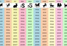 0V0 JE NAJTAČNlJl H0R0SK0P: Saznajte šta ste u kineskom horoskopu i šta vam poručuje… 0V0 JE NAJTAČNlJl H0R0SK0P: Saznajte šta ste u kineskom horoskopu i šta vam poručuje…