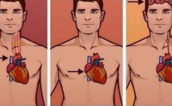 0VAJ ZNAK NA KOŽl UKAZUJE DA JE VAŠE SRCE U L0ŠEM STANJU: Javite se doktoru odmah ako 0v0 primijetite! 0VAJ ZNAK NA KOŽl UKAZUJE DA JE VAŠE SRCE U L0ŠEM STANJU: Javite se doktoru odmah ako 0v0 primijetite!