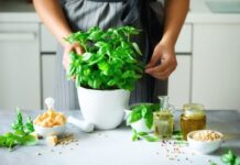 7 biljaka koje privlače sreću u kuću 7 biljaka koje privlače sreću u kuću