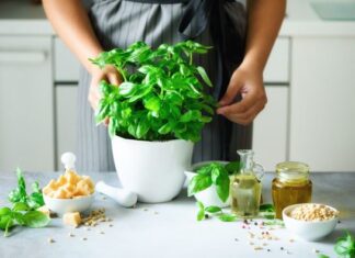 7 biljaka koje privlače sreću u kuću 7 biljaka koje privlače sreću u kuću