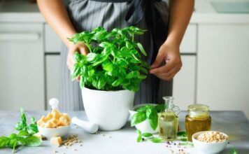 7 biljaka koje privlače sreću u kuću 7 biljaka koje privlače sreću u kuću