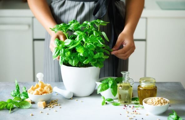 7 biljaka koje privlače sreću u kuću 7 biljaka koje privlače sreću u kuću