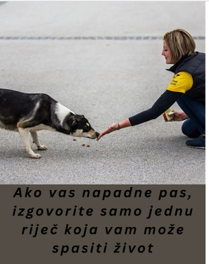 Ako vas napadne pas, izgovorite samo jednu riječ koja vam može spasiti život Ako vas napadne pas, izgovorite samo jednu riječ koja vam može spasiti život