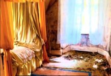 Čovek tokom šetnje otkrio napuštenu kuću: Kad je zakoračio u spavaću sobu, ostao je bez teksta od prizora Čovek tokom šetnje otkrio napuštenu kuću: Kad je zakoračio u spavaću sobu, ostao je bez teksta od prizora