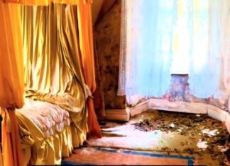 Čovek tokom šetnje otkrio napuštenu kuću: Kad je zakoračio u spavaću sobu, ostao je bez teksta od prizora Čovek tokom šetnje otkrio napuštenu kuću: Kad je zakoračio u spavaću sobu, ostao je bez teksta od prizora