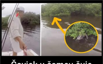 Čovjek u čamcu čuje šuštanje iz žbunja – uključuje kameru i prilazi bliže Čovjek u čamcu čuje šuštanje iz žbunja – uključuje kameru i prilazi bliže