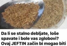 Da li se stalno debljate, loše spavate i bole vas zglobovi? Ovaj JEFTIN začin bi mogao biti odgovor! Da li se stalno debljate, loše spavate i bole vas zglobovi? Ovaj JEFTIN začin bi mogao biti odgovor!