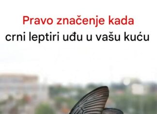 Kada crni leptir posjeti vašu kuću, to bi moglo značiti nešto ozbiljno Kada crni leptir posjeti vašu kuću, to bi moglo značiti nešto ozbiljno