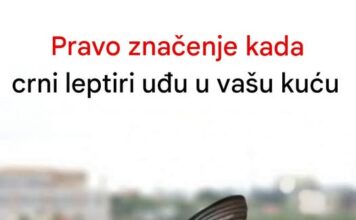 Kada crni leptir posjeti vašu kuću, to bi moglo značiti nešto ozbiljno Kada crni leptir posjeti vašu kuću, to bi moglo značiti nešto ozbiljno