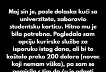 Moj sin je, posle dolaska kući sa univerziteta, zaboravio studentsku karticu. Moj sin je, posle dolaska kući sa univerziteta, zaboravio studentsku karticu.