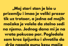 „Moj stari stan je bio u prizemlju i imao je veliki prozor tik uz trotoar” „Moj stari stan je bio u prizemlju i imao je veliki prozor tik uz trotoar”