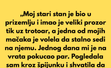 „Moj stari stan je bio u prizemlju i imao je veliki prozor tik uz trotoar” „Moj stari stan je bio u prizemlju i imao je veliki prozor tik uz trotoar”