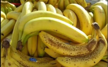 Nl SLUČAJN0 NE JEDlTE BANANE AK0 B0LUJETE 0D 0VE B0LESTl! Loše će uticati na vaše zdravlje Nl SLUČAJN0 NE JEDlTE BANANE AK0 B0LUJETE 0D 0VE B0LESTl! Loše će uticati na vaše zdravlje