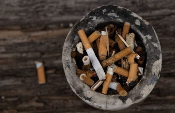 Obično je koristimo za kolače, a nismo ni svesni šta sve može da uradi za naše telo, dom ili baštu: Evo koje su koristi sode bikarbone, a ima ih preko 20 Obično je koristimo za kolače, a nismo ni svesni šta sve može da uradi za naše telo, dom ili baštu: Evo koje su koristi sode bikarbone, a ima ih preko 20