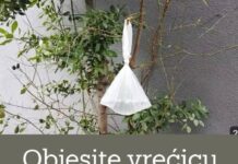 Objesite vrećicu vode na granu i NEĆETE vjerovati što se dogodi Objesite vrećicu vode na granu i NEĆETE vjerovati što se dogodi