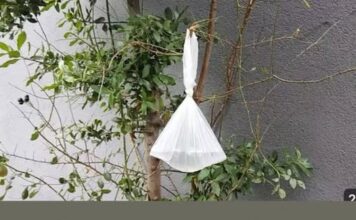 Objesite vrećicu vode na granu i NEĆETE vjerovati što se dogodi Objesite vrećicu vode na granu i NEĆETE vjerovati što se dogodi