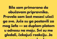 Odbijam da obučavam svog novog šefa — dosta mi je što me gaze Odbijam da obučavam svog novog šefa — dosta mi je što me gaze