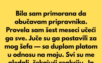 Odbijam da obučavam svog novog šefa — dosta mi je što me gaze Odbijam da obučavam svog novog šefa — dosta mi je što me gaze