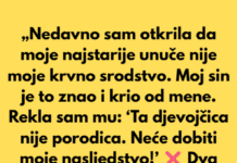 „Odbila sam da ostavim svoje nasljedstvo kćerki moje snahe — ona nije moja porodica.“ „Odbila sam da ostavim svoje nasljedstvo kćerki moje snahe — ona nije moja porodica.“