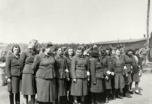 Oglas koji je pretvarao obične žene u mučenice: Nisu znale ni za šta se prijavljuju, a nakon prijave put bez povratka Oglas koji je pretvarao obične žene u mučenice: Nisu znale ni za šta se prijavljuju, a nakon prijave put bez povratka