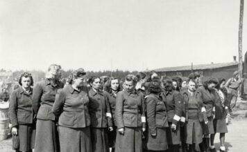 Oglas koji je pretvarao obične žene u mučenice: Nisu znale ni za šta se prijavljuju, a nakon prijave put bez povratka Oglas koji je pretvarao obične žene u mučenice: Nisu znale ni za šta se prijavljuju, a nakon prijave put bez povratka