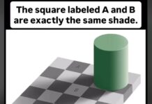 Optička iluzija zbunila svakog ko je pogleda: Mozak mi je eksplodirao Optička iluzija zbunila svakog ko je pogleda: Mozak mi je eksplodirao