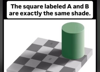 Optička iluzija zbunila svakog ko je pogleda: Mozak mi je eksplodirao Optička iluzija zbunila svakog ko je pogleda: Mozak mi je eksplodirao