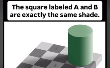 Optička iluzija zbunila svakog ko je pogleda: Mozak mi je eksplodirao Optička iluzija zbunila svakog ko je pogleda: Mozak mi je eksplodirao