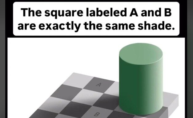 Optička iluzija zbunila svakog ko je pogleda: Mozak mi je eksplodirao Optička iluzija zbunila svakog ko je pogleda: Mozak mi je eksplodirao