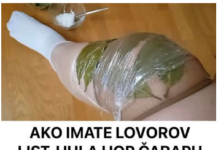 Otkrijte zapanjujuću tajnu stvaranja nečeg nevjerojatnog samo s lovorovim listom i hula hoop čarapom! Pripremite se biti zadivljeni! Otkrijte zapanjujuću tajnu stvaranja nečeg nevjerojatnog samo s lovorovim listom i hula hoop čarapom! Pripremite se biti zadivljeni!