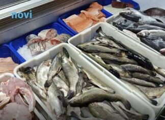 Ovo je glavni razlog: Znate li zašto se oslić uvijek prodaje bez glave Ovo je glavni razlog: Znate li zašto se oslić uvijek prodaje bez glave