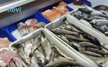 Ovo je glavni razlog: Znate li zašto se oslić uvijek prodaje bez glave Ovo je glavni razlog: Znate li zašto se oslić uvijek prodaje bez glave