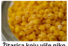 Ovu žitaricu niko neće da jede a veoma je zdrava: Recept! Ovu žitaricu niko neće da jede a veoma je zdrava: Recept!