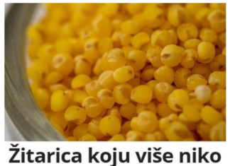 Ovu žitaricu niko neće da jede a veoma je zdrava: Recept! Ovu žitaricu niko neće da jede a veoma je zdrava: Recept!
