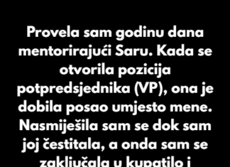 Provela sam godinu dana mentorirajući Saru. Provela sam godinu dana mentorirajući Saru.