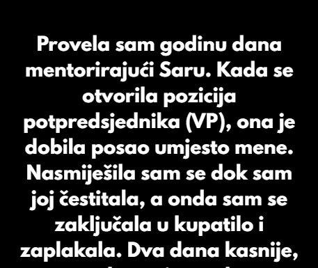 Provela sam godinu dana mentorirajući Saru. Provela sam godinu dana mentorirajući Saru.