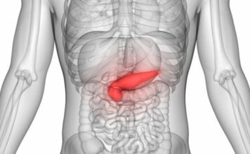 “Radio sam kao gipsar, hranio se zdravo, a onda je krenuo bol u leđima: Mislio sam da sam se istegao na poslu, a zapravo je bio simptom najtežeg raka” "Radio sam kao gipsar, hranio se zdravo, a onda je krenuo bol u leđima: Mislio sam da sam se istegao na poslu, a zapravo je bio simptom najtežeg raka"