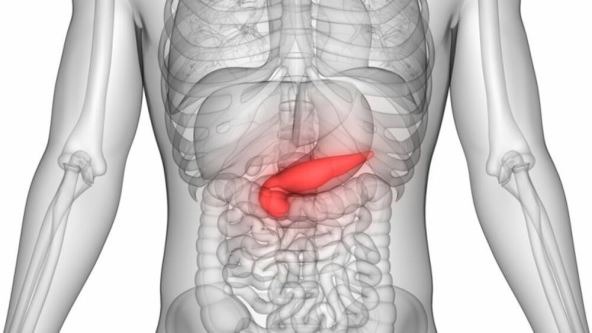 “Radio sam kao gipsar, hranio se zdravo, a onda je krenuo bol u leđima: Mislio sam da sam se istegao na poslu, a zapravo je bio simptom najtežeg raka” "Radio sam kao gipsar, hranio se zdravo, a onda je krenuo bol u leđima: Mislio sam da sam se istegao na poslu, a zapravo je bio simptom najtežeg raka"