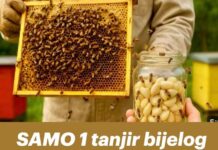 SAMO 1 tanjir bijelog luka može SPASITI cijeli pčelinjak – Nevjerovatno! SAMO 1 tanjir bijelog luka može SPASITI cijeli pčelinjak – Nevjerovatno!