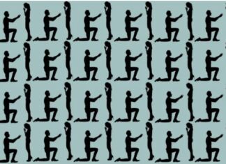 Skrivalica koja je mnoge namučila: Samo oni najpažljiviji mogu da je riješe – da li ste među njima Skrivalica koja je mnoge namučila: Samo oni najpažljiviji mogu da je riješe – da li ste među njima