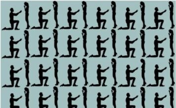 Skrivalica koja je mnoge namučila: Samo oni najpažljiviji mogu da je riješe – da li ste među njima Skrivalica koja je mnoge namučila: Samo oni najpažljiviji mogu da je riješe – da li ste među njima