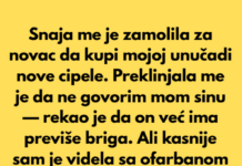 Snaja je pozajmila novac od mene i odbila da ga vrati — pa sam preduzela nešto Snaja je pozajmila novac od mene i odbila da ga vrati — pa sam preduzela nešto