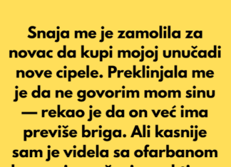 Snaja je pozajmila novac od mene i odbila da ga vrati — pa sam preduzela nešto Snaja je pozajmila novac od mene i odbila da ga vrati — pa sam preduzela nešto