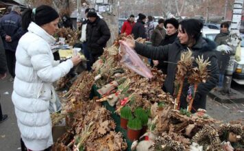 Šta se radi sa badnjakom posle Božića Da li je greh ako ga bacite u kontejner? Šta se radi sa badnjakom posle Božića Da li je greh ako ga bacite u kontejner?