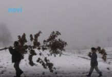 Šta znači ako pada snijeg na Božić: Kakva nas godina čeka Šta znači ako pada snijeg na Božić: Kakva nas godina čeka